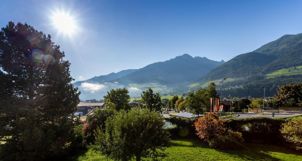 Alpine View Apartment Niedernsill